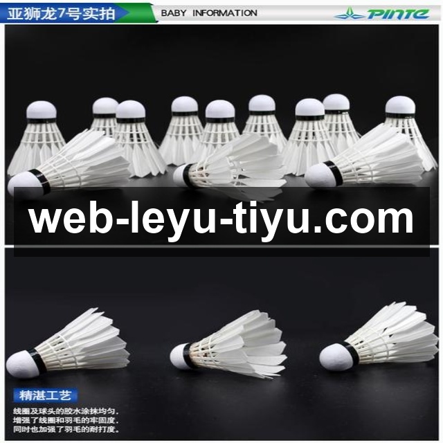 全面掌握乒乓球注意事项助你科学训练与安全提升球技水平