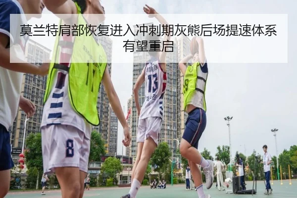 莫兰特肩部恢复进入冲刺期灰熊后场提速体系有望重启